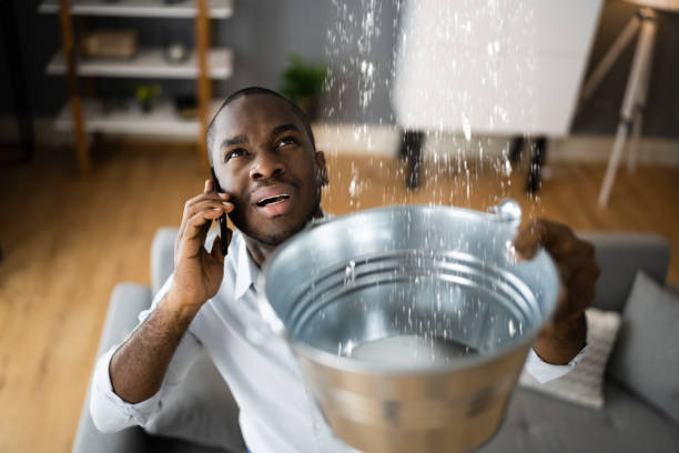 Best Professional water damage repair  in Fayetteville, NY