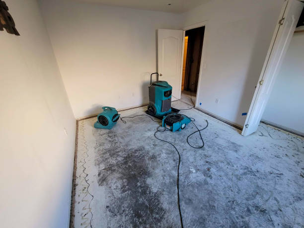 Best Flood damage cleanup  in Fayetteville, NY