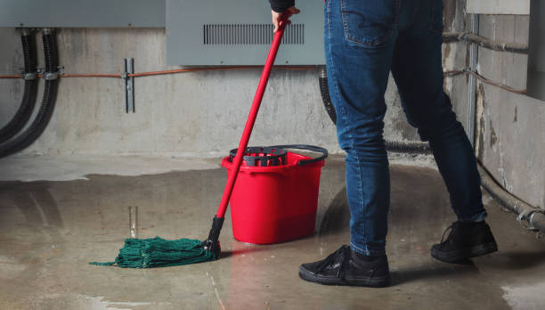 Best Carpet water damage restoration  in Fayetteville, NY