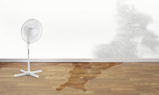  Fayetteville, NY Water damage restoration Pros