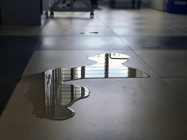 Best Local water damage restoration  in Fayetteville, NY