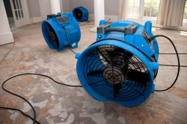 Best Fire Damage Restoration  in Fayetteville, NY