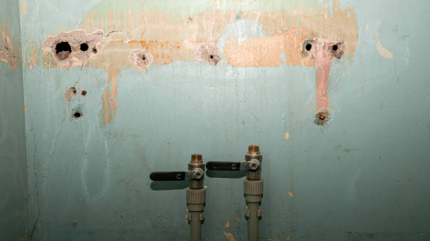 Best Flood restoration services  in Fayetteville, NY