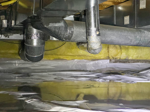 Best Water damage cleanup near me  in Fayetteville, NY