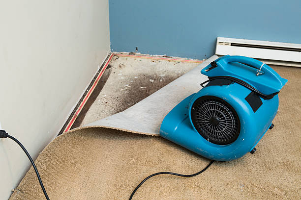 Best 24-hour water damage restoration  in Fayetteville, NY